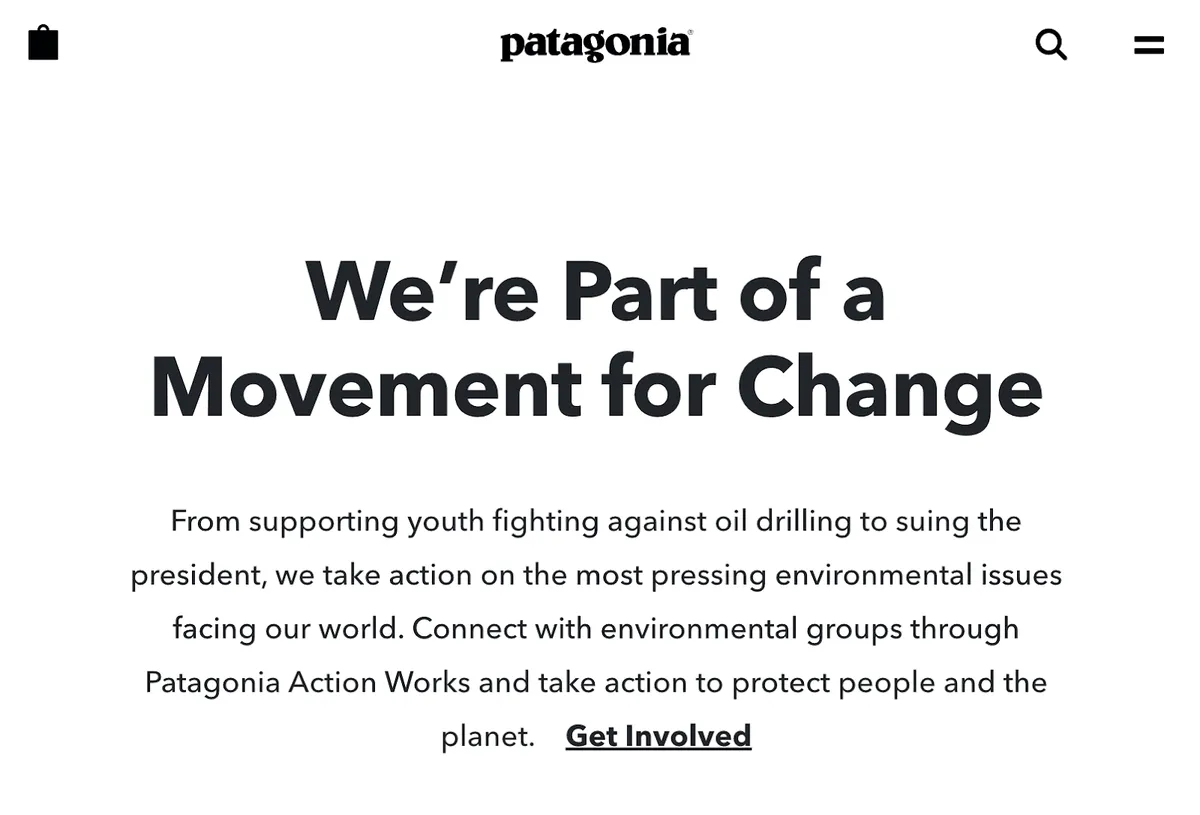 Patagonia challenges category conventions by fighting climate change