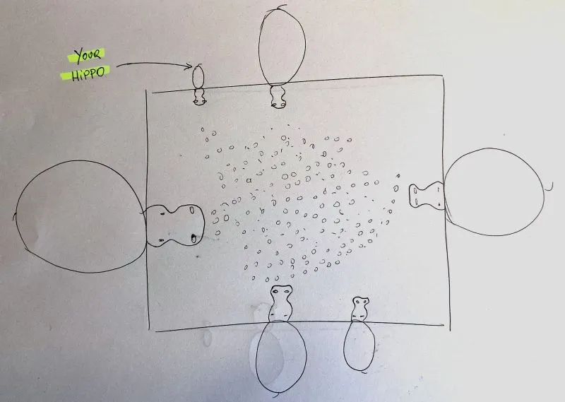 Hippo on an oversized board, illustrating the trap of targeting too large a market