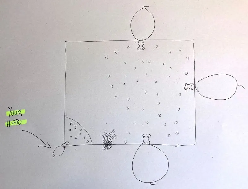 Small hippo focusing on a corner of the board away from bigger competitors