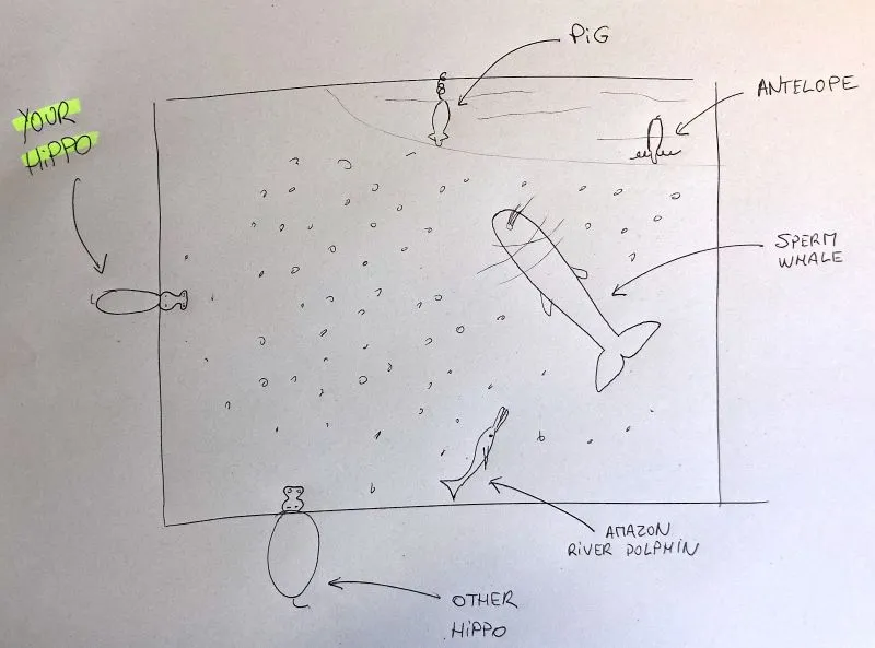 Various hoofed animals alongside hippos, representing market alternatives