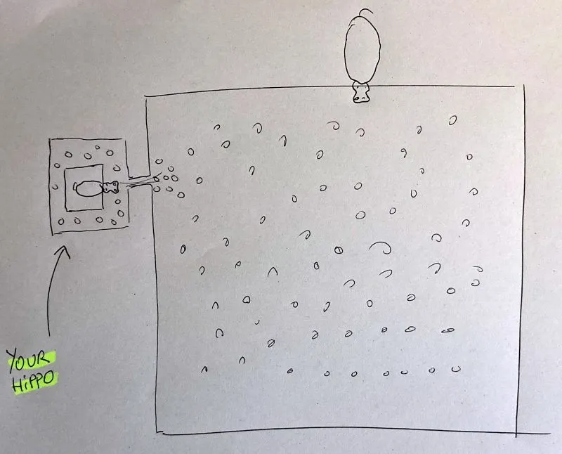 Hippo surrounded by a defensive moat, illustrating competitive advantage